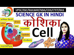 तो दोस्तों आज हमने जाना koshika kya hai और koshika ki khoj kisne ki पूरी जानकारी. Koshika à¤• à¤¶ à¤• Cell Cell Structure Human Cell à¤• à¤¶ à¤• à¤¸ à¤°à¤šà¤¨ Ncert Science Biology Youtube