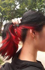 Black Hair Dyed Red Underneath Hair Color Underneath Hair Color Streaks Hair Styles