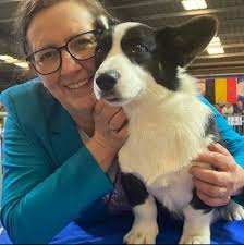 Welsh Corgi Forum Belgium