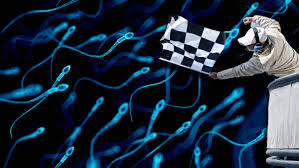 Live Sperm Racing Coming To Los Angeles This Month | OutKick