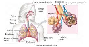Kejarcita 1 Bank Soal Sekolah