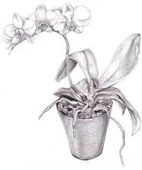 Pin On Art Portfolio