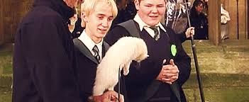 Pin By Annalise Adams On Legend In 2020 Draco Harry Potter Harry Potter Funny Harry Potter Draco Malfoy