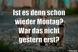 Guter spruch bilder und sprüche für whatsapp und facebook. Die Besten 79 Montag Spruche Auf Istdaslustig De