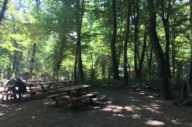 Belgrad ormanı local information and maps. Belgrad Ormani Adeta Issizliga Burundu 15haber