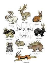 Jackalopes Of The World A4 Print Etsy Mythical Creatures Art Creature Drawings Mythical Creatures