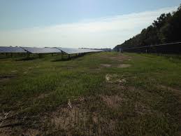 This composition is indicative of the industry's wider impact on the state. Eastern Nc Solar Projects Energy Renewal Partners