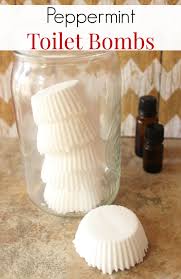 diy peppermint toilet s recipe and