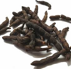 Image result for Xylopia aethiopica