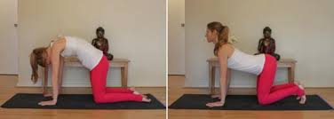 We did not find results for: 5 Yoga Poses To Ease Arthritis Doyou