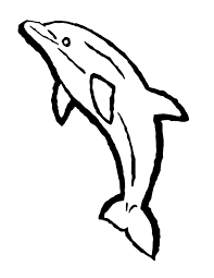 Their size varies from about 1.70 meters to 4 meters long, and their mass varies between 70 kilograms for the common dolphin (delphinus delphis). Free Printable Dolphin Coloring Pages For Kids Animal Place