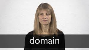 Domain Definition And Meaning Collins English Dictionary