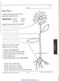2nd grade science worksheets demonstrate the use of experimentation, measurement, evidence, method and organization to explore the world here are some of the topics covered by science worksheets for 2nd grade: Stunning First Grade Science Worksheets Samsfriedchickenanddonuts