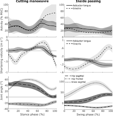 There are many kinds of groin injuries, including muscle strains, tendon or ligament sprains, and there are many types of groin injury, some of which can occur together. Muscle Activity Of Cutting Manoeuvres And Soccer Inside Passing Suggests An Increased Groin Injury Risk During These Movements Scientific Reports