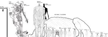 Pin By Pearl Aqua On Fma Aot Attack On Titan Size Chart