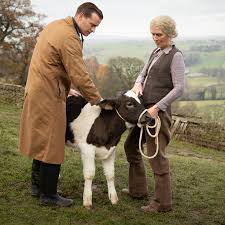 The family pets contest animation video hey! All Creatures Great And Small Heals Cows And Soothes Souls The New York Times