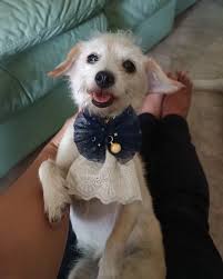 david awe (@davidawe) • Instagram photos and videos