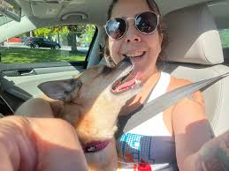 Dunkin' I was having a sad morning, so me and the pups stopped by the  McGalliard location. The staff absolutely loved my babies and “awwww'd”  over them. Ram would just like to