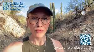 Our Co-Executive Director Kate gives an update