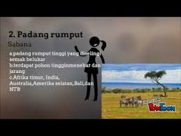 Persebaran Flora Dan Fauna Di Indonesia Youtube