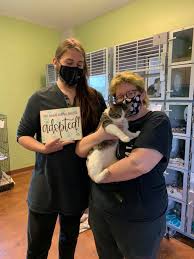 Learn more about lake dallas animal shelter in lake dallas, tx, and search the available pets they have up for adoption on petfinder. Lake Dallas Animal Shelter Home Facebook
