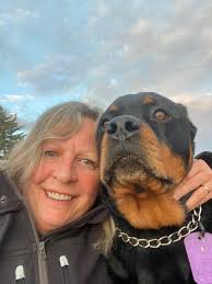 Maltipoo puppies and owners discussion