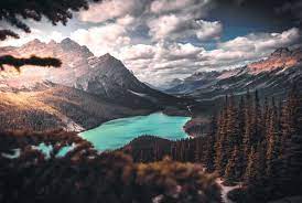 What you need to know is that these images that you add will neither increase nor decrease the speed of your computer. 100 000 Best Desktop Backgrounds Photos 100 Free Download Pexels Stock Photos