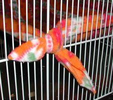 This colorful rope net hammock will probably. Pin By Tracy Forbes On Rattie Stuff Diy Rat Toys Pet Rats Rat Cage Accessories