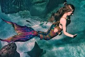 Image result for real mermaid