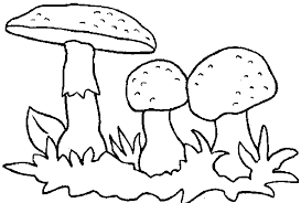Setas Para Colorear E Imprimir