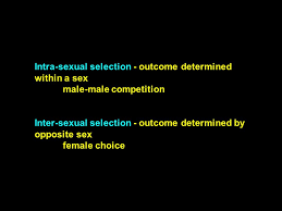 Contrast intrasexual selection and intersexual selection. Sexual Selection Sexual Selection Ppt Video Online Download