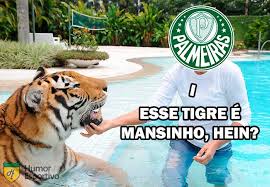 Clique aqui e assista a partida ao vivo online em hd com imagem. Jogo A Jogo A Campanha Do Titulo Da Libertadores Do Palmeiras Em Memes Galerias