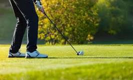Image result for what is a desert golf course