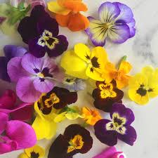 Over 10 million bouquets delivered by flying flowers. Guides And Features How To Use Edible Flowers This Summer