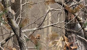 We did not find results for: My Camo Realtree Wallpaper Camo Wallpaper Camouflage Wallpaper