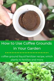 Coffee grounds aren't acidic at all. How To Use Coffee Grounds In The Garden