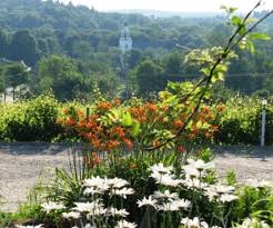 Winry, distillery, a wine and gift shoppe, brewery, and a gourmet restaurant. Nashoba Valley Winery Bolton 2021 All You Need To Know Before You Go With Photos Tripadvisor