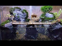 Step By Step Cara Membuat Waterfall Paludarium Piparium Youtube In 2021 Aquascape Driftwood Wall Art Garden Terrarium