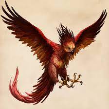 Phoenix Harry Potter Wiki Fandom Powered By Wikia Harry Potter Creatures Phoenix Harry Potter Harry Potter Drawings