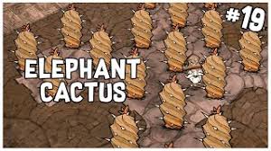 32:55 today we set up a trap using the elephant cacti. Volcano Surprise Elephant Cactus Bat Trap Don T Starve Woodlegs Series Gameplay Part 19 Youtube