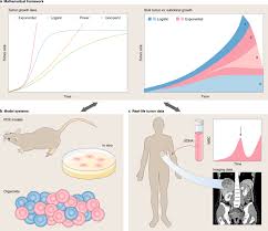 This is a model of an animal cell, enjoy it standards ngss ccss overview and background model of an animal cell lesson plan and activity discover the 12346 3d models found related to animal cell. Delineating The Evolutionary Dynamics Of Cancer From Theory To Reality Nature Cancer