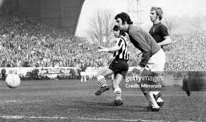 568 Hepple Stock Photos, High-Res Pictures, and Images