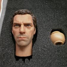 Amazon.co.jp: 1/6 Scale Male Figure Head Sculpt, Doctor House Hugh Laurie  Head Sculpture, Doll Head for 12 Inch Action Figure, A : Toys & Games
