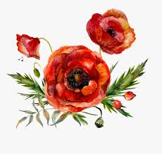 The perfect gift to accompany your most passionate messages. Red Watercolor Flower Transparent Hd Png Download Transparent Png Image Pngitem