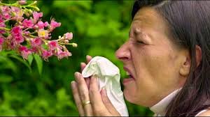 Für Allergiker ist Basel jetzt die Pollen-Hölle