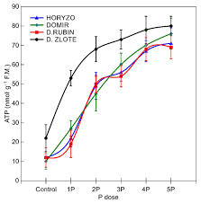 Image result for Adenodolichos rhomboideus