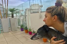 Además, mi papá está vuelto loco con la noticia, al igual que mi. La Historia De Simon El Perro Adoptado Por Leo Montero Y Su Esposa La Nacion