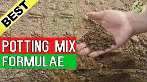Remember, the mix has no nutrients at all. Potting Mix Best Soil For Plants Gardening Best Seed Starting Mix For Seed Germination Youtube