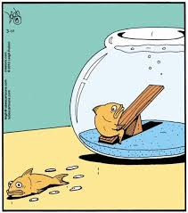 Auto Fish Aquarium Escape 197318 Jpeg 538 622 Funny Cartoons Funny Pictures Laugh