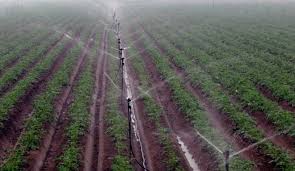 Now you can shop for it and enjoy a good deal on aliexpress! Maize Growers Opt For Drip Irrigation